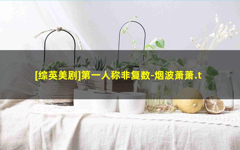 [综英美剧]第一人称非复数-烟波萧萧.txt txt/pdf/azw3/mobi电子版百度夸克网盘下载